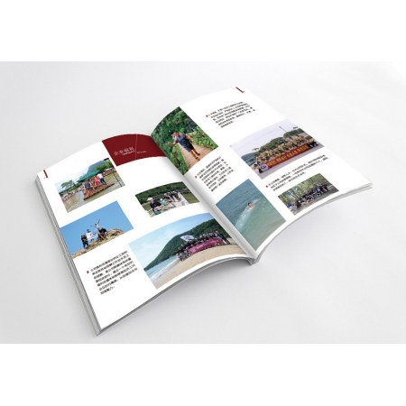 Custom Flyer Printing Magazine Catalogue Brochure Wholesale 