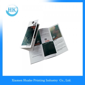 Offset Paper Printing Type Brosjyre eller Booklet Printing 